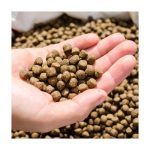 ម៉ាស៊ីនវេចខ្ចប់ចំណីបញ្ឈរ