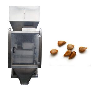 មាត្រដ្ឋានលីនេអ៊ែរទី 2 មាត្រដ្ឋានលីនេអ៊ែរក្បាល