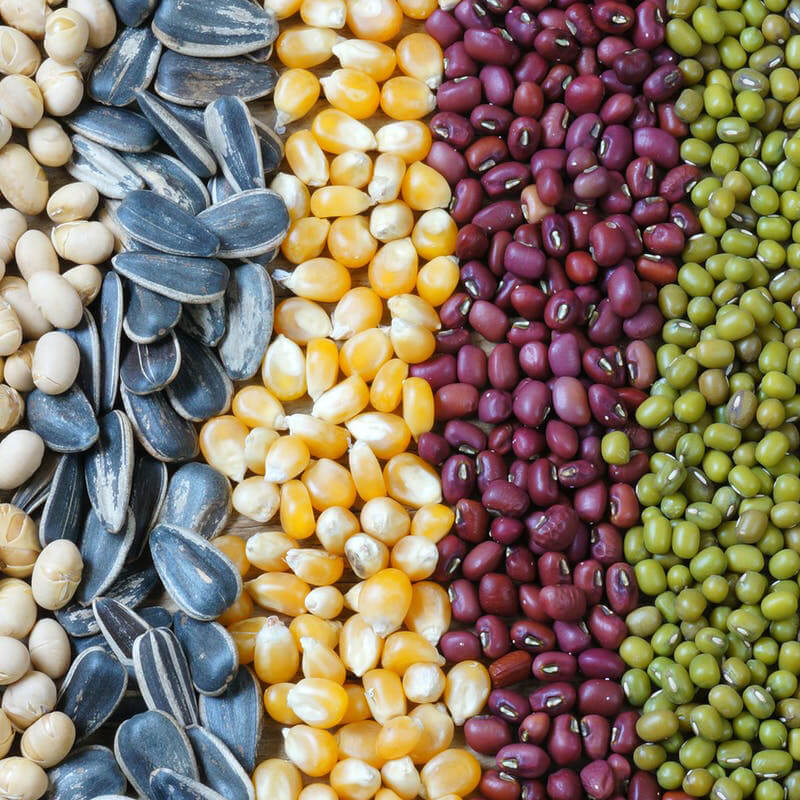 ម៉ាស៊ីនវេចខ្ចប់គ្រាប់ពូជដោយស្វ័យប្រវត្តិ